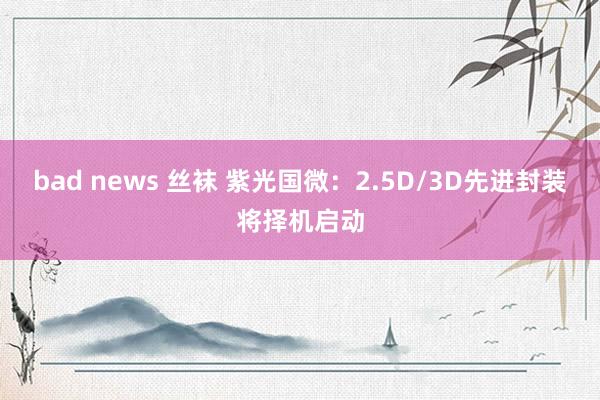 bad news 丝袜 紫光国微：2.5D/3D先进封装将择机启动