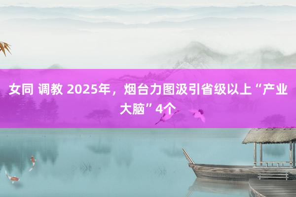 女同 调教 2025年，烟台力图汲引省级以上“产业大脑”4个