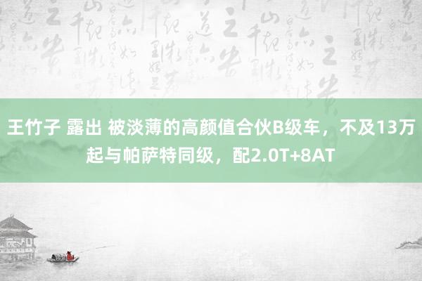 王竹子 露出 被淡薄的高颜值合伙B级车，不及13万起与帕萨特同级，配2.0T+8AT