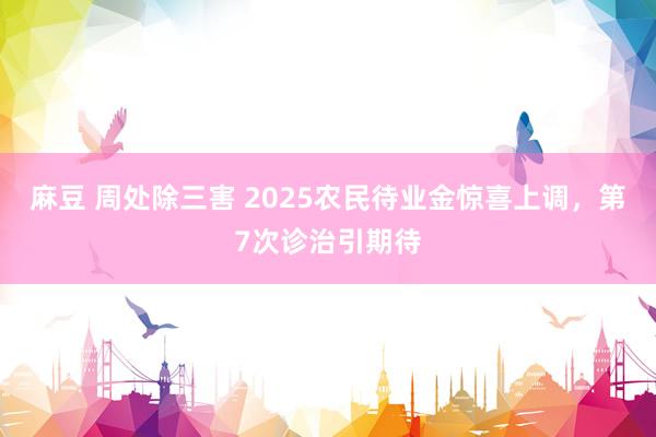 麻豆 周处除三害 2025农民待业金惊喜上调，第7次诊治引期待