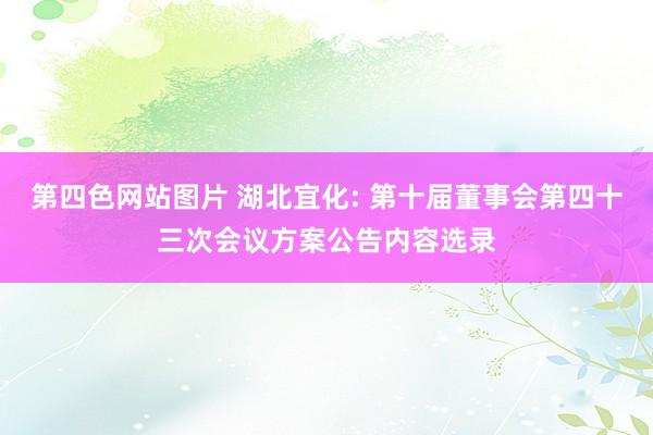 第四色网站图片 湖北宜化: 第十届董事会第四十三次会议方案公告内容选录