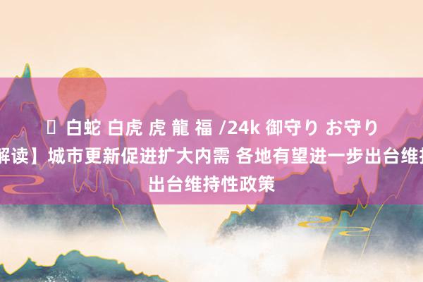 ✨白蛇 白虎 虎 龍 福 /24k 御守り お守り 【新华解读】城市更新促进扩大内需 各地有望进一步出台维持性政策