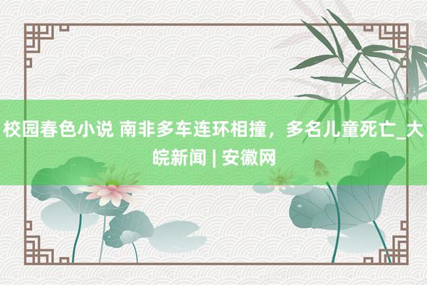 校园春色小说 南非多车连环相撞，多名儿童死亡_大皖新闻 | 安徽网