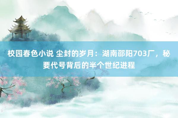 校园春色小说 尘封的岁月：湖南邵阳703厂，秘要代号背后的半个世纪进程