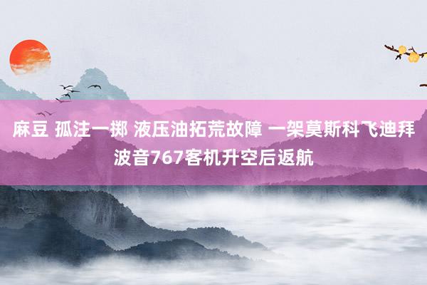 麻豆 孤注一掷 液压油拓荒故障 一架莫斯科飞迪拜波音767客机升空后返航