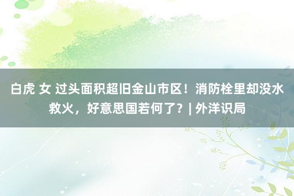 白虎 女 过头面积超旧金山市区！消防栓里却没水救火，好意思国若何了？| 外洋识局