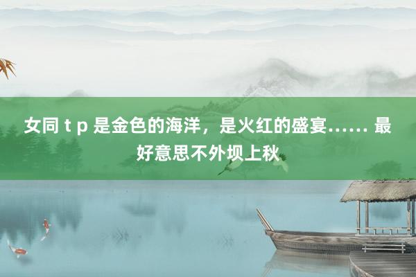 女同 t p 是金色的海洋，是火红的盛宴…… 最好意思不外坝上秋