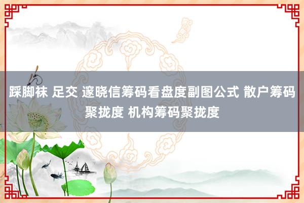 踩脚袜 足交 邃晓信筹码看盘度副图公式 散户筹码聚拢度 机构筹码聚拢度