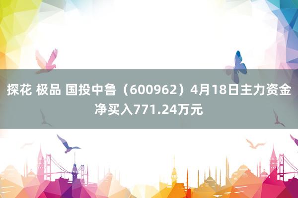 探花 极品 国投中鲁（600962）4月18日主力资金净买入771.24万元